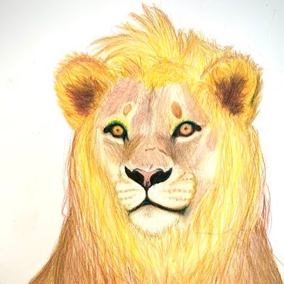 AstroLion10's profile picture. 