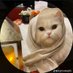 Arwa khalid (@arwaque42028027) Twitter profile photo Arwa khalid (@arwaque42028027) Twitter profile photo
