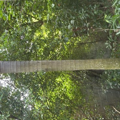 StuckinClownada's profile picture. 2015 we had a balanced budget, affordable homes, safety and prosperity. THOSE DAYS ARE GONE thanks to the Liberal Party of Canada. #thirdworldshthole