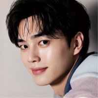 Pradipta, 林 (@kiastemu) 's Twitter Profile