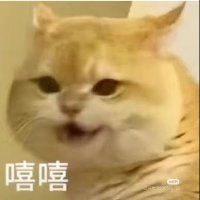 zhang worthing (@worthingzhang) 's Twitter Profile