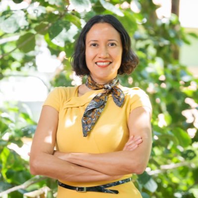 Professor of Political Science. Judicial Politics and Democratization. IPSA Summer Schools Coordinator. President of AMECIP (2025-2027).