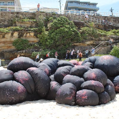 BalmainBob365's profile picture. Father, Surfer, Fisherman, Lover of the horse. Retired.