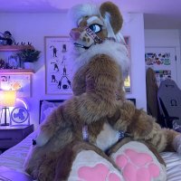 Dax (@daxafterdark) 's Twitter Profile