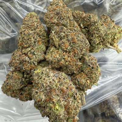 we got top grade medical marijuana strains and a variety of other cannabis products. We do home deliveries and shipping telegram. https://t.co/7XD7VzzSCT