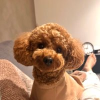 HH Dadd@紫タイツ部長 (@hh_dadd) 's Twitter Profile
