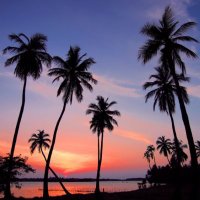 Just Beachy (@salty_winds) 's Twitter Profile
