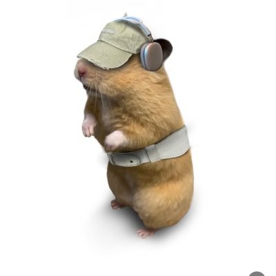 zeperrinnnn's profile picture. Nothing to say, just living the life god gave me!