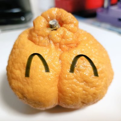 チキチキぽんぽんさんのプロフィール画像