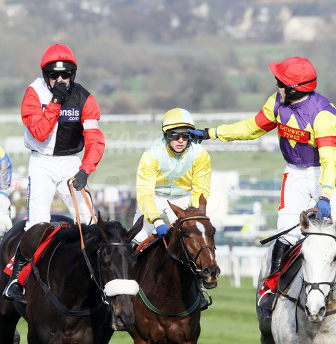 NH racing enthusiasts. No affiliation with the BHA; all opinions presented are that of the owners.