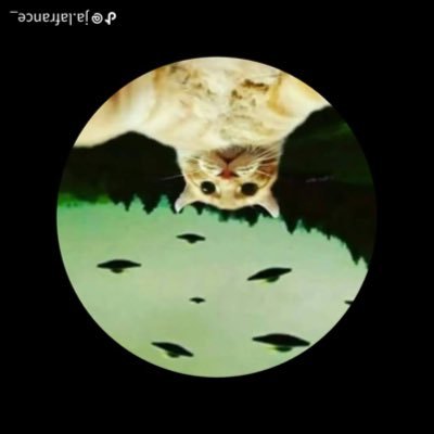 Toni_don34's profile picture. 