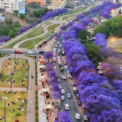 Elomrani20's profile picture. لا داعي