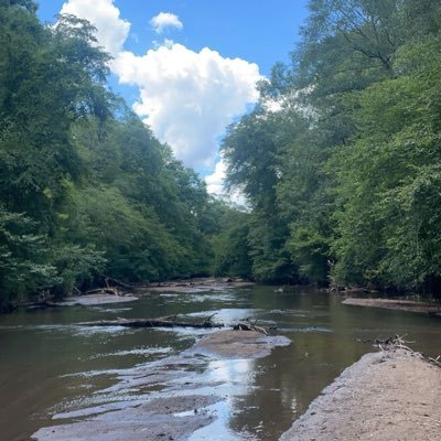 dark104253's profile picture. 