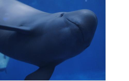 non3to's profile picture. 🌸