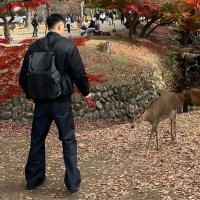 铭仔 (@aniaming) 's Twitter Profile
