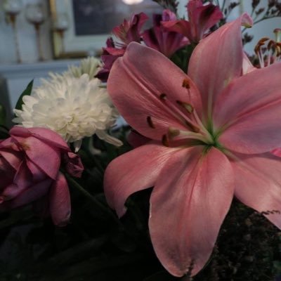 swq_110's profile picture. 🔬🧫🧬