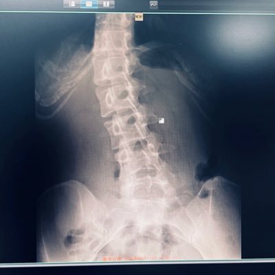 MiMYON_Lab's profile picture. 🌘▶︎@MiMYON_ ┊︎他垢で相互の方、DMに課金報告くれた方フォロリク通します ⚠️それ以外のフォロリクブロックします┊︎引越し準備中に付き欲しリス閉じてます