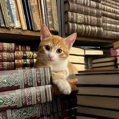 بلاد العرب أوطاني ، جميع الناس في الإسلام إخواني .
مسلمة ، قارئة 🪴