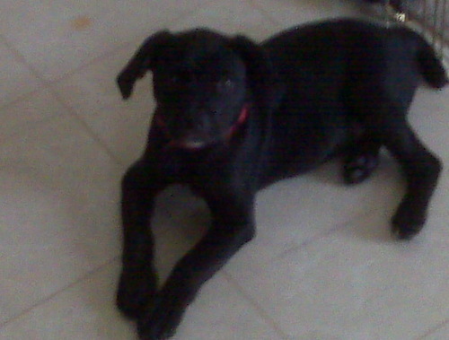 cameragrl1's profile picture. 