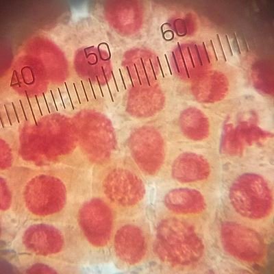 Kou_Okumura_OUU's profile picture. 