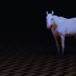 stagefright__'s profile picture. 