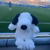 J (@snoopyloverj) 's Twitter Profile Photo J (@snoopyloverj) 's Twitter Profile Photo