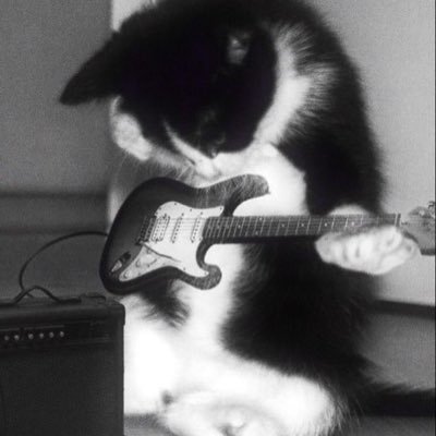 nizi_mana's profile picture. MECHATU-A ＆ Specialeが大好き