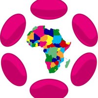 Polkadot Africa (@polkadotafrica) 's Twitter Profile Photo Polkadot Africa (@polkadotafrica) 's Twitter Profile Photo
