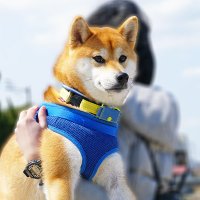 龍ママ (@ryu20191231) 's Twitter Profile