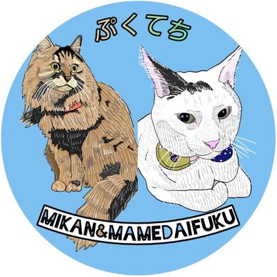 ー no cat no life ー みかんと豆大福は今日も元気に喧嘩中🐈️🐈️ (通称 みかん姐さん と お豆 ) 母ちゃん時々2号さん。たまに母ちゃんの疲れがMAXになると消えます。
猫、自然、漫画、米🍚🍙