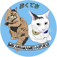 ぷくてち(アイコン変えました) (@cute_nekosmama) 's Twitter Profile Photo ぷくてち(アイコン変えました) (@cute_nekosmama) 's Twitter Profile Photo
