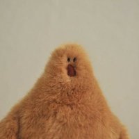 ๅฝๆ (@oksm_otk) 's Twitter Profile Photo ๅฝๆ (@oksm_otk) 's Twitter Profile Photo