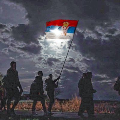 MiningSee's profile picture. 