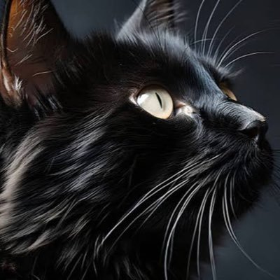 R872891's profile picture. ࿅黑࿅猫࿅【黑】です。 元【NPC-009】