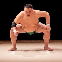 松本 豊/錣山部屋 元 彩 尊光 (@irodori4310) 's Twitter Profile