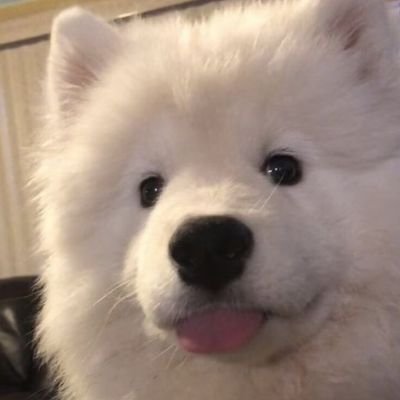 yourslude's profile picture. 🏳️‍🌈gay
🐻bear Asian boy
不算“优质”，推止于推

171/160g/44🦶/18  有老公了，喜欢纯白袜纯黑袜，不是网黄