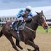 Best Bets Horse Tips ProClub (@bproclub) Twitter profile photo Best Bets Horse Tips ProClub (@bproclub) Twitter profile photo