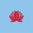 NSW Waratahs