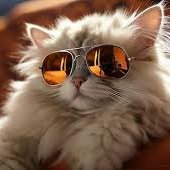 pajet_slayer's profile picture. 