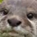 Jack Byfield - @jac14410 - Twitter