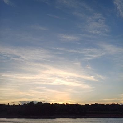 シ︎