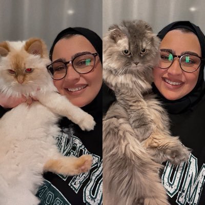 ( قعدة الصبح و الدوام مسؤولية انا كلش مو قدها ) واكتب اي شي يخطر على بالي وما اقصد أحد معين فيه وشكرا😌💅🏻