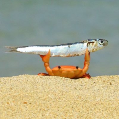 haeXyakk's profile picture. MX RPS / https://t.co/sknh8GRfKV / 二次創作BL