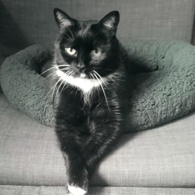ildikoHU21's profile picture. 