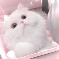 ْ (@ucenvs) Twitter profile photo