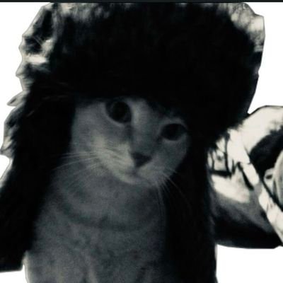 0xSerKing's profile picture. 2D/3D Graphics Designer