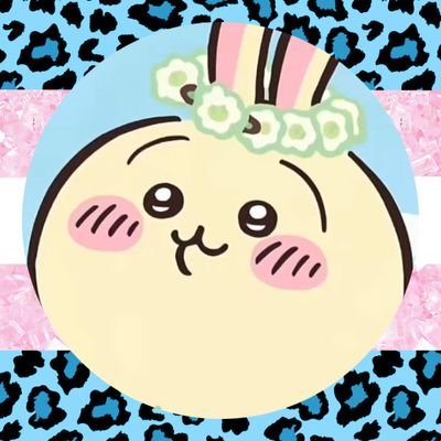 Caesar🍉さんのプロフィール画像