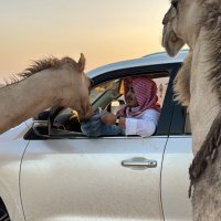 مهند الجمل (@muun0562) 's Twitter Profile