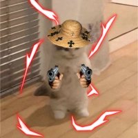 Luis.sol (@luiss_crypto) 's Twitter Profile
