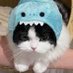 Riisshhaabbhh (@riisshhaabbhh) Twitter profile photo Riisshhaabbhh (@riisshhaabbhh) Twitter profile photo